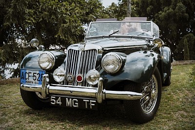 MG TF 1954